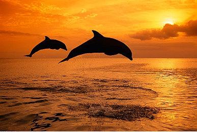 网鱼×PUBG联名“白运动”引爆BW 2025现场