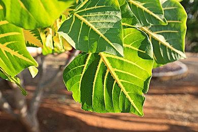 《深岩银河》第二赛季预告 4月28日上线PC